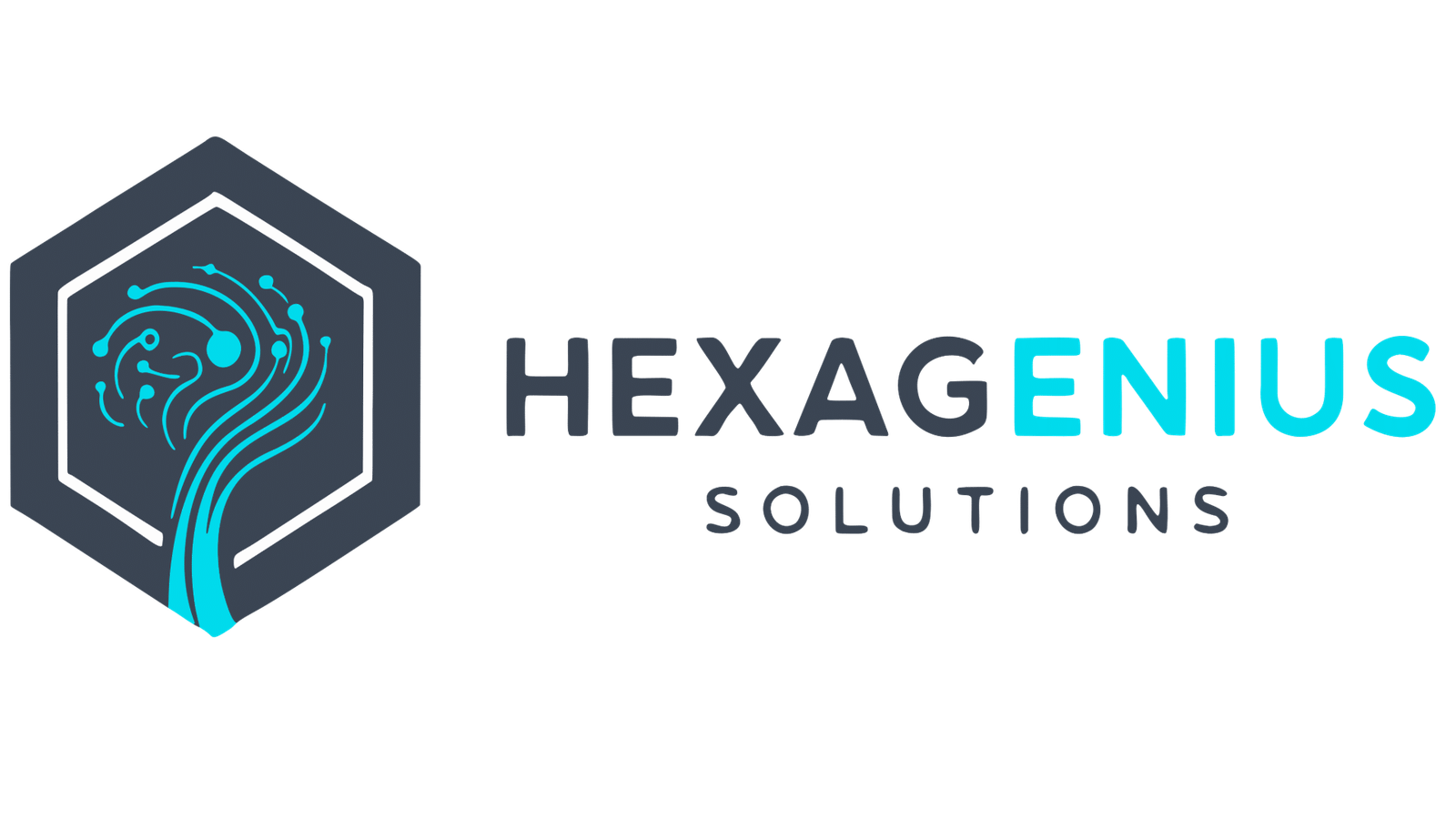 Logo h